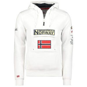 | Geographical Norway